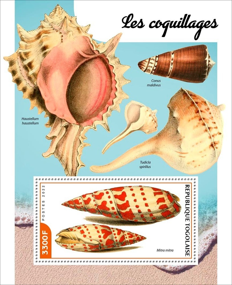 Togo Stamps 2022 MNH Shells Souvenir Sheet