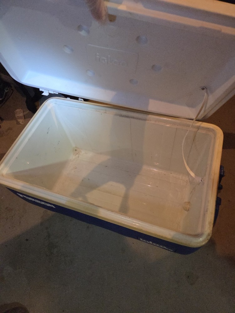 Igloo 48 qt Blue White Plastic Cooler Box
