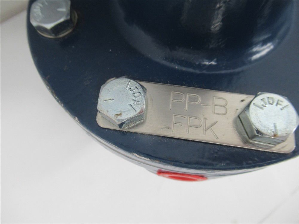 Watson McDaniel PP-B , Pressure Pilot , 20-100 Psi Range , Blue