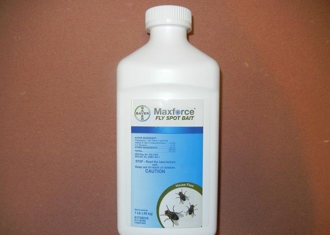 Maxforce Fly Spot Bait 1 lb. Container Bayer