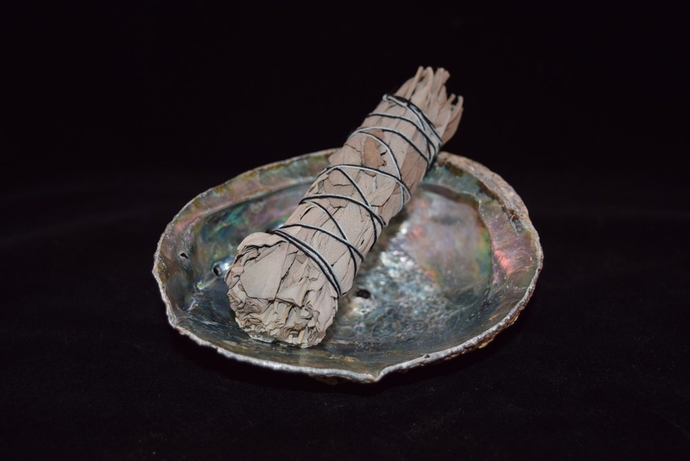 NessaStores- White Sage 4" & Abalone Shell 4" - 5" (1 Kit)