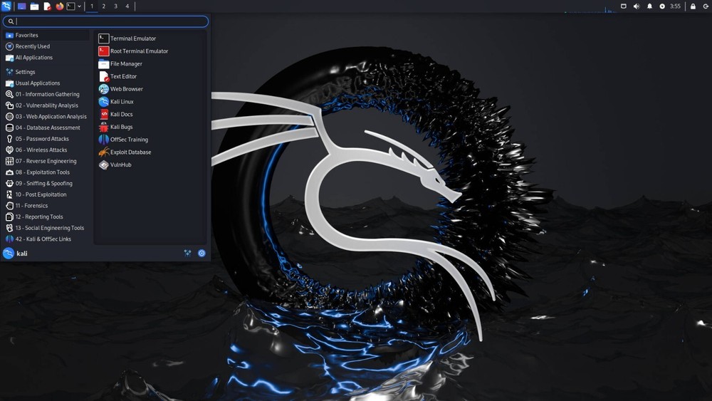Kali Linux 2025.3 Pentesting Live USB, Full Image & Entire Toolset Cybersecurity