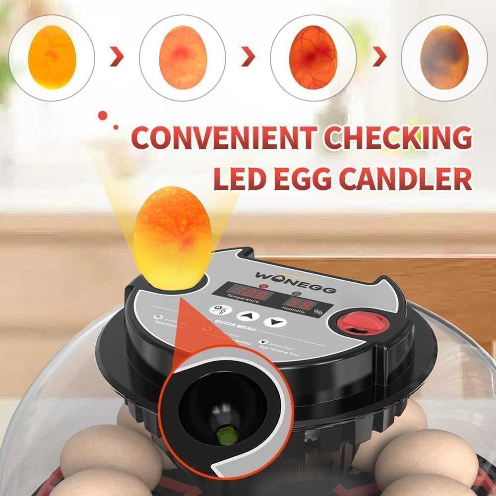 Explore+ 12 Egg Incubator for Beginners, Multi-Level Adaptive Humidity (Auto-Ref