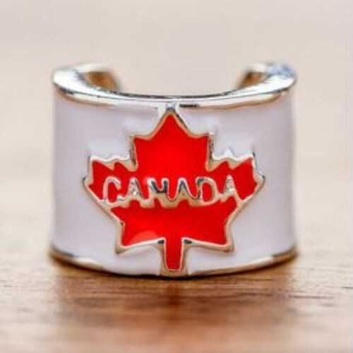 CharMED Stackable Personalize Stethoscope Bling Charm | Canada Maple Leaf