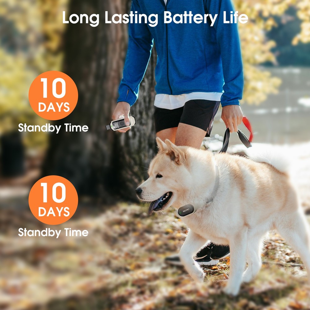 Dog Training Collar Remote Rechargeable Shock PET Waterproof Trainer