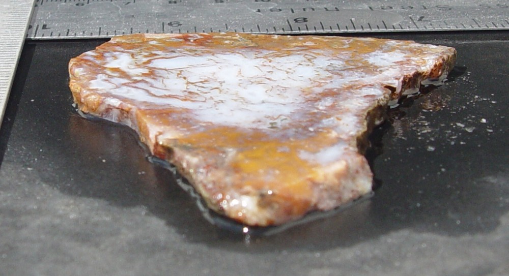 Gold Moss Agate Lapidary Slab 1487