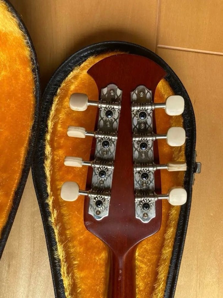 Mandolin 8 string spruce body