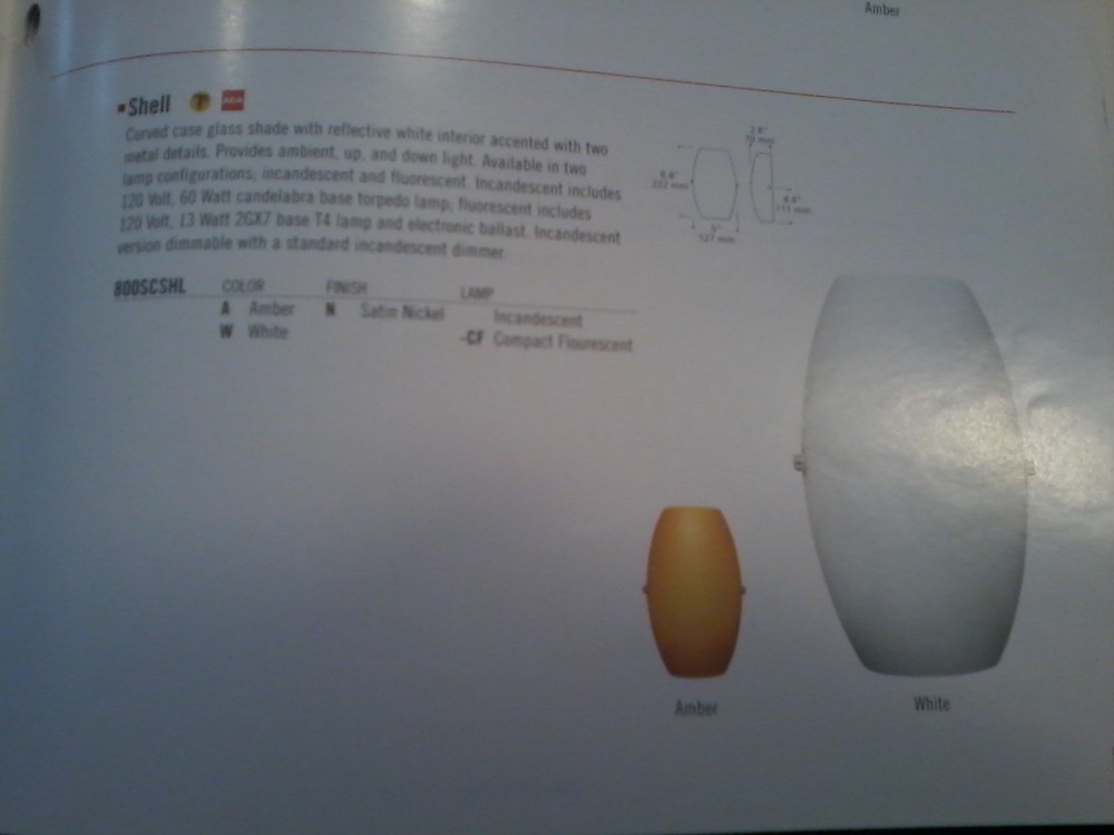 Tiella Lighting #800SCSHLAN Amber Shell Wall Sconce