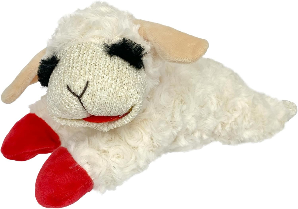 10" with 5 Squeakers, Soft & Cuddly