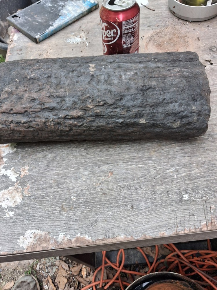 Petrified Wood Log