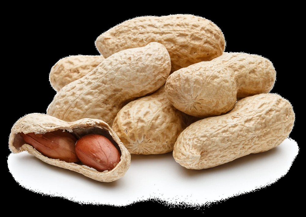 Salted Roasted In-Shell Peanuts (select size below)