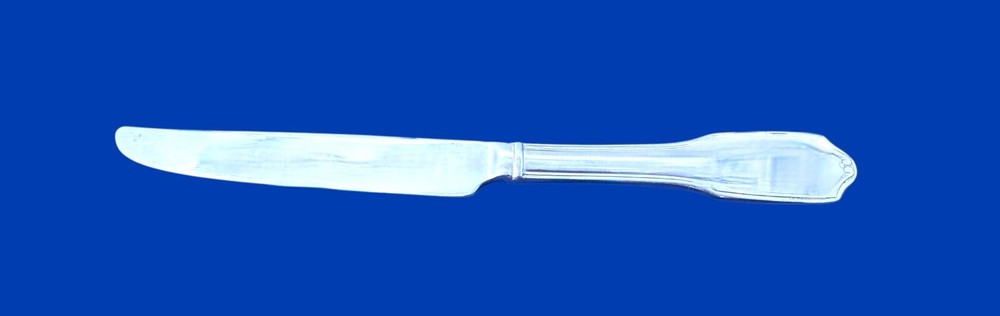 Reed & Barton REGENT SCROLL Stainless Glossy -  Solid Dinner Knife 9 3/4