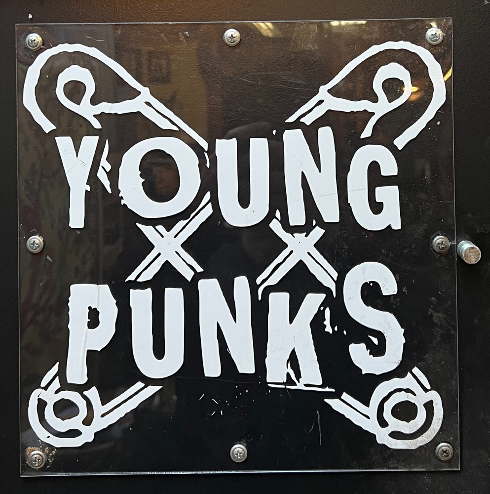 YoungPunks.com - Domain Name - Short, Sweet, Easy to Remember