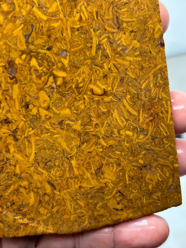 Script Stone Jasper Slab Cabbing Lapidary Collecting Combo Ship Avail