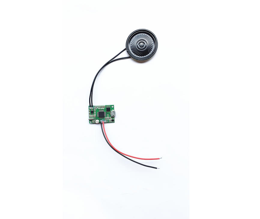 [ Flyron FN-AP02-LDR ] Light Sensor Activated Sound Player Module