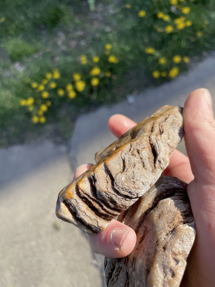 Super Unique, Faced/polished, Agatized/opalized petrified wood