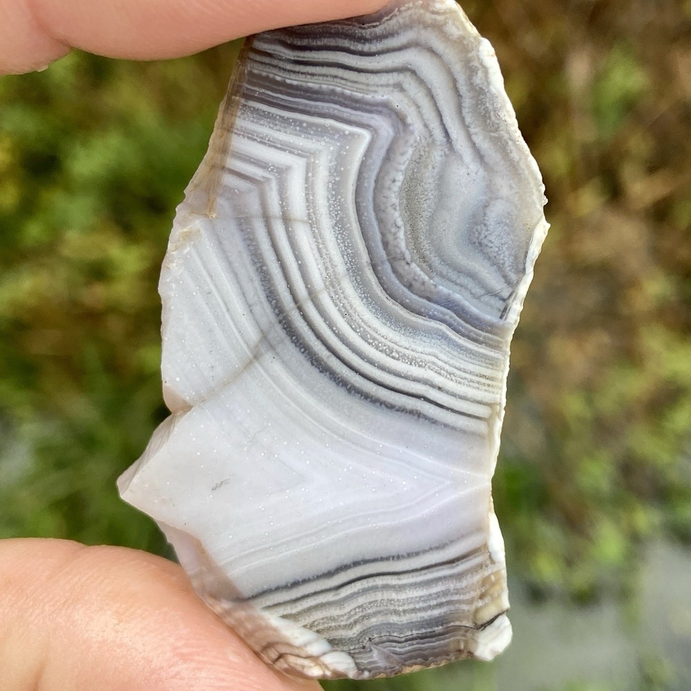 White Fortification Agate Banded Slab