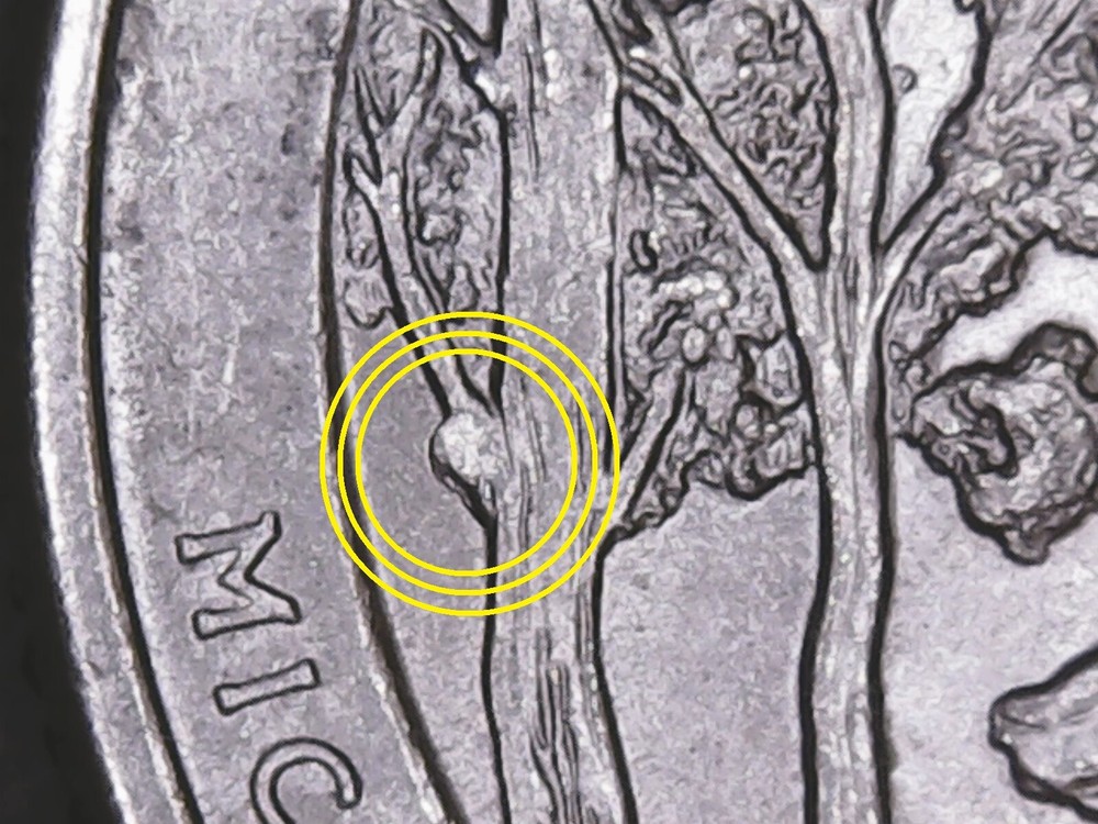 2018 p Pictured Rock ATB Quarter with Die Chips.