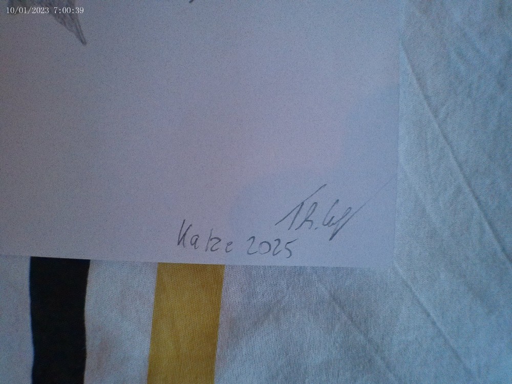 Cat pencil drawing, unique