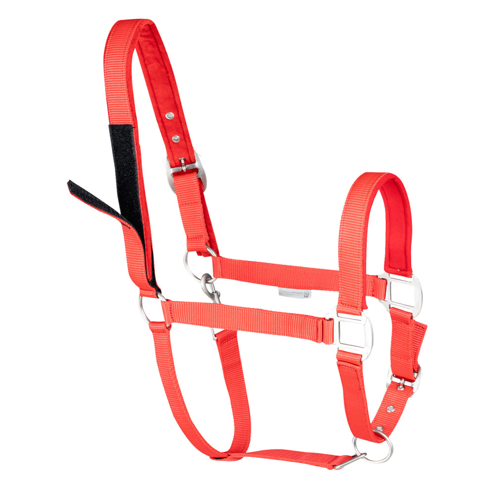 Safety Halter