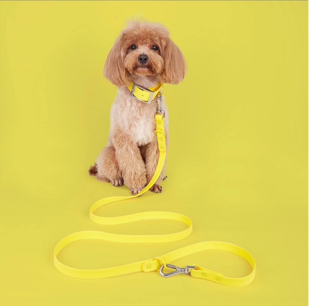 pet traction rope set