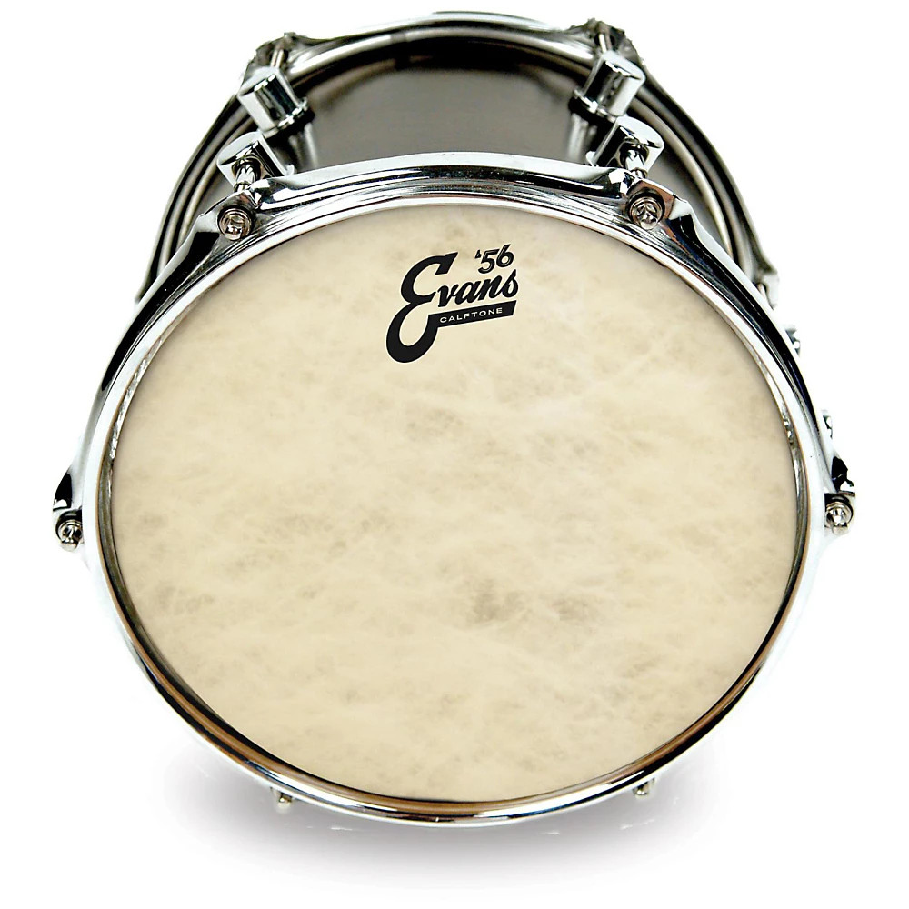 Evans Calftone Drumhead 18 in.