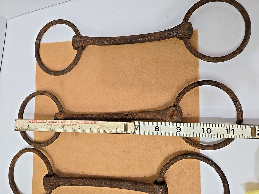 Bridle Bit 4 Equestrian Horse Mule READ