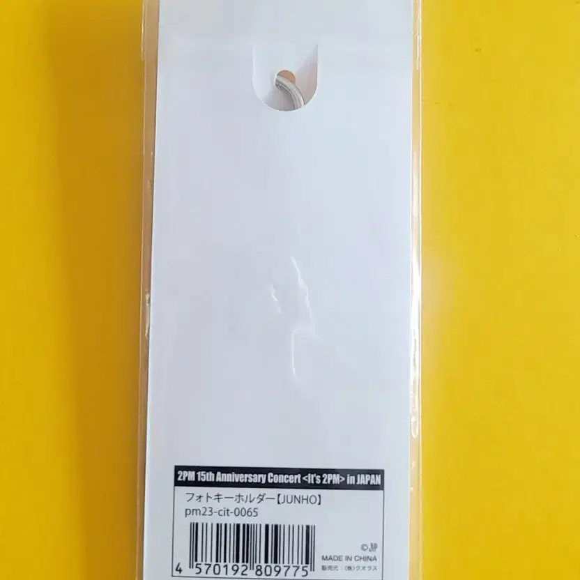 Unopened 2PM Junho Hinge Keychain - 15th Anniversary Concert