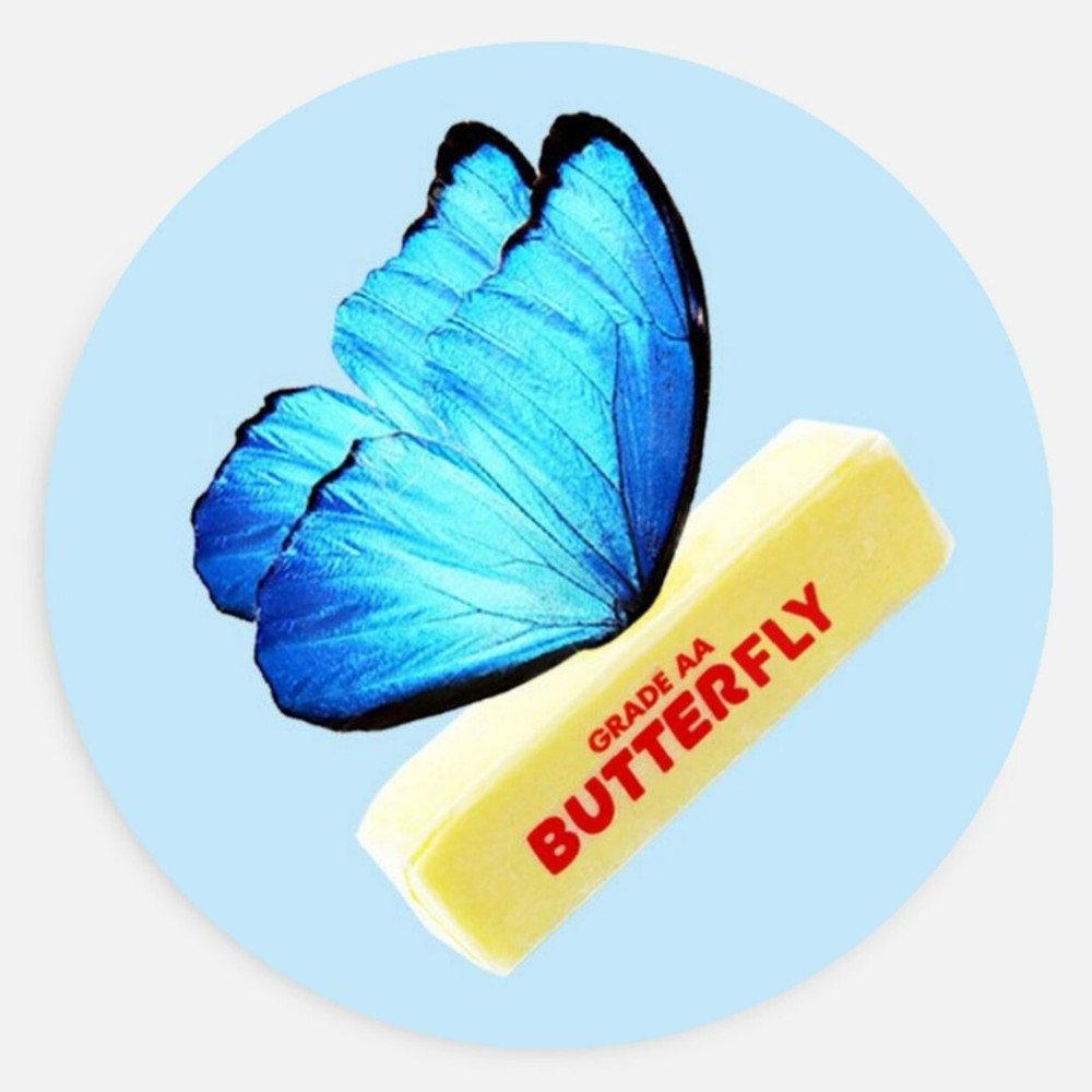 Butter-fly blue morpho pun 1.5in sticker