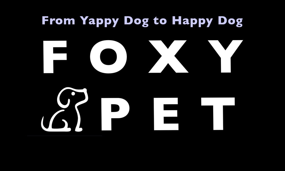 Dogtra YS600 Rechargeable Adjustable No Bark Collar