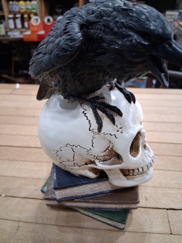 Raven Perched on Skull Gothic Book Stack Figurine