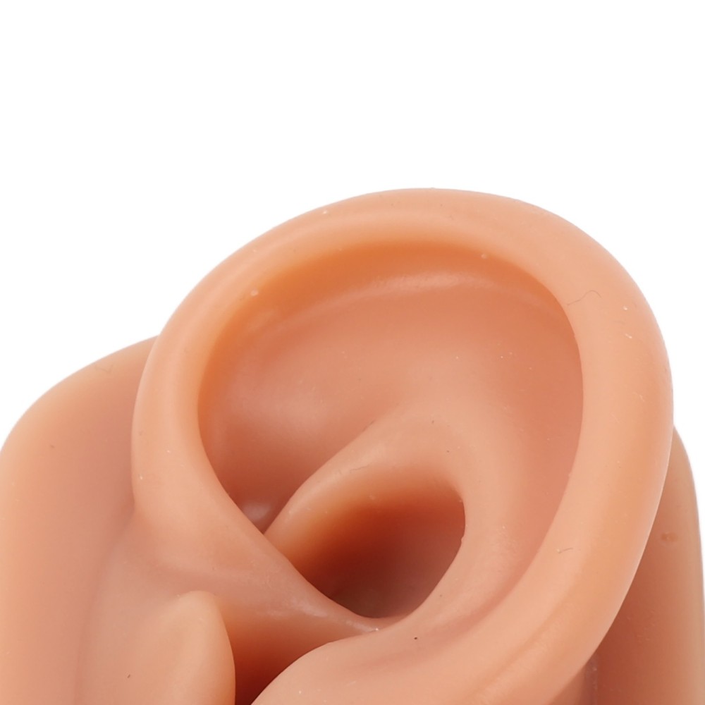 Professional Piercing Practice Ear Model For Earrings Display NEW↑