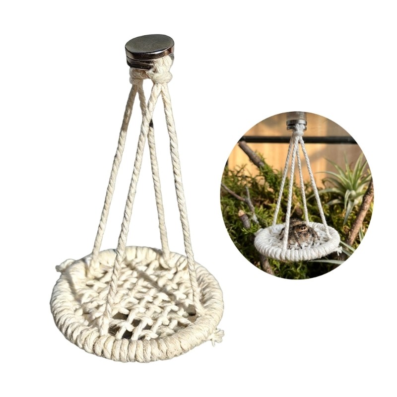 Jumping Spiders Platform Perch Woven Bed Terrarium Decors