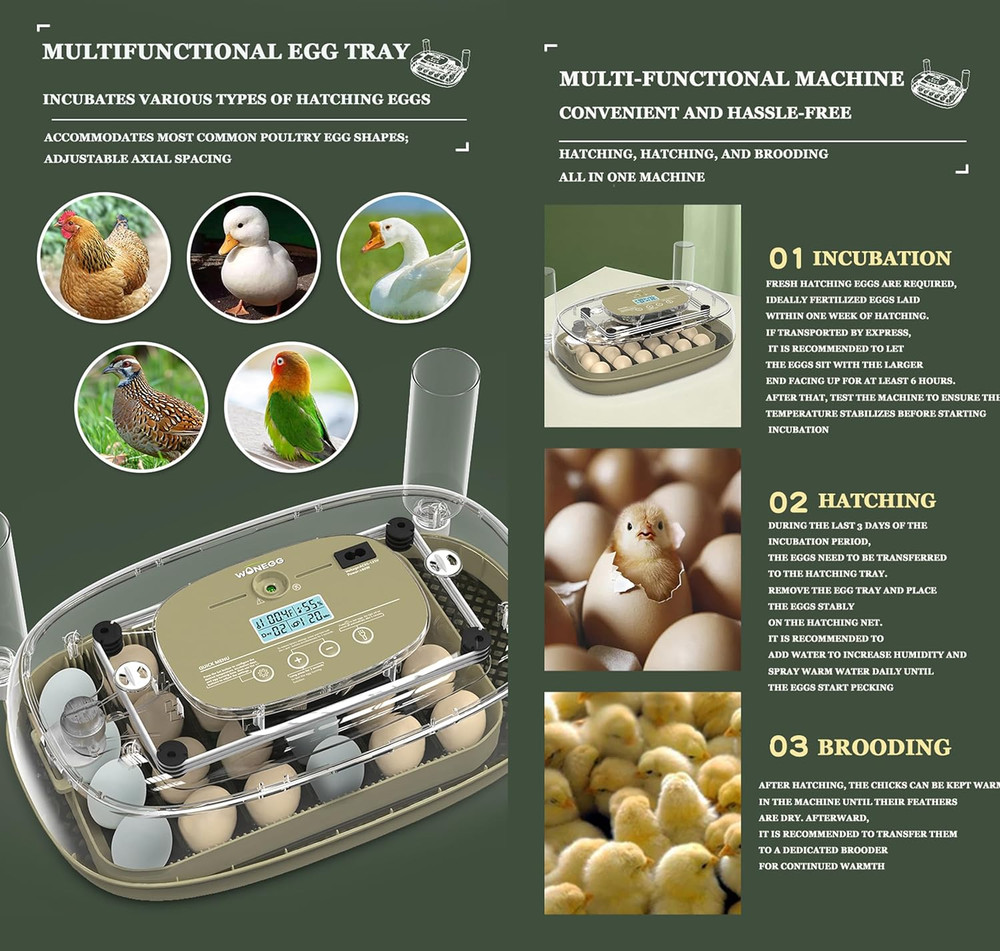 Smart Egg Incubator with Automatic Egg Turner & Built-In Candler, Stable Tempera