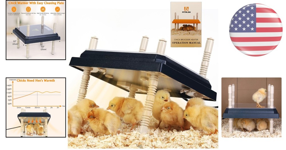 Durable Chick Brooder Heater 10" x 10" with Adjustable Heights for Cozy Warmth