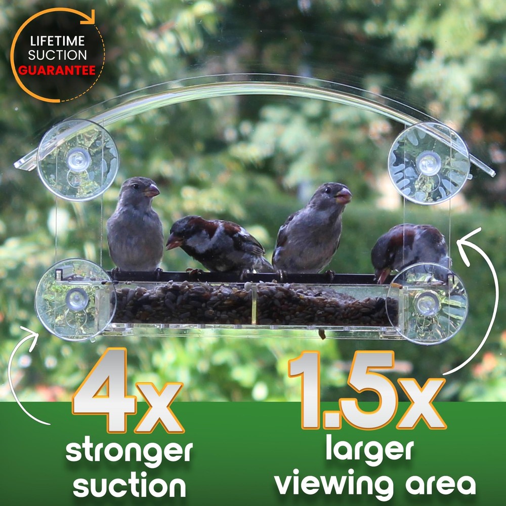 Window Bird Feeder with Sponsored by AmericanBirdwatching,