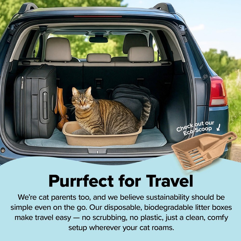 Kitty Sift Disposable Cat Litter Box Large, 6 Count, Durable Portable for Tra...