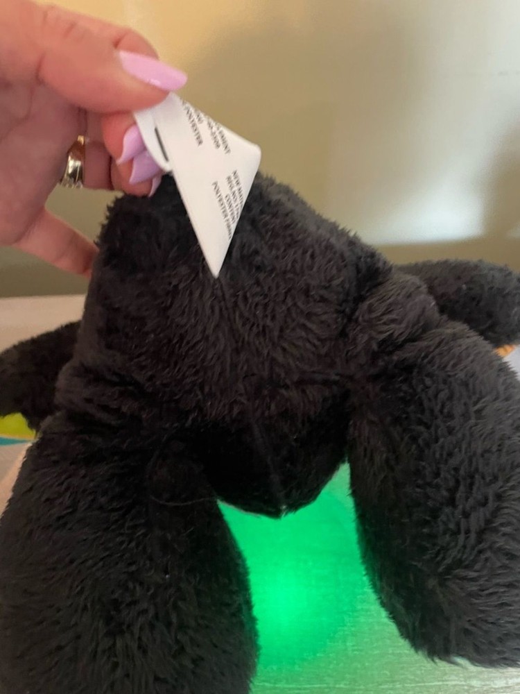 Winfun Learn with Me Panda Pal educational plush toy interactive learning bear