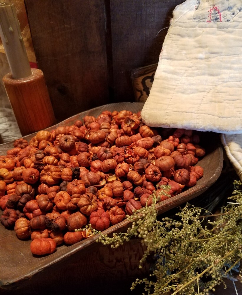 PRIMITIVE MINI PUTKA PODS