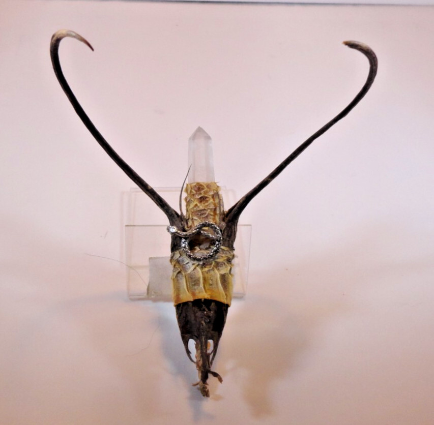 Primitive Folk Art WICCA Devil's Claw handcrafted Witchcraft magical object