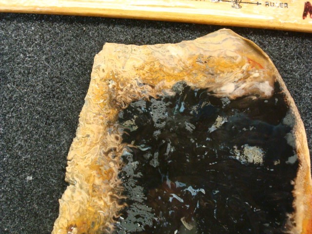indonesian petrifed palm root