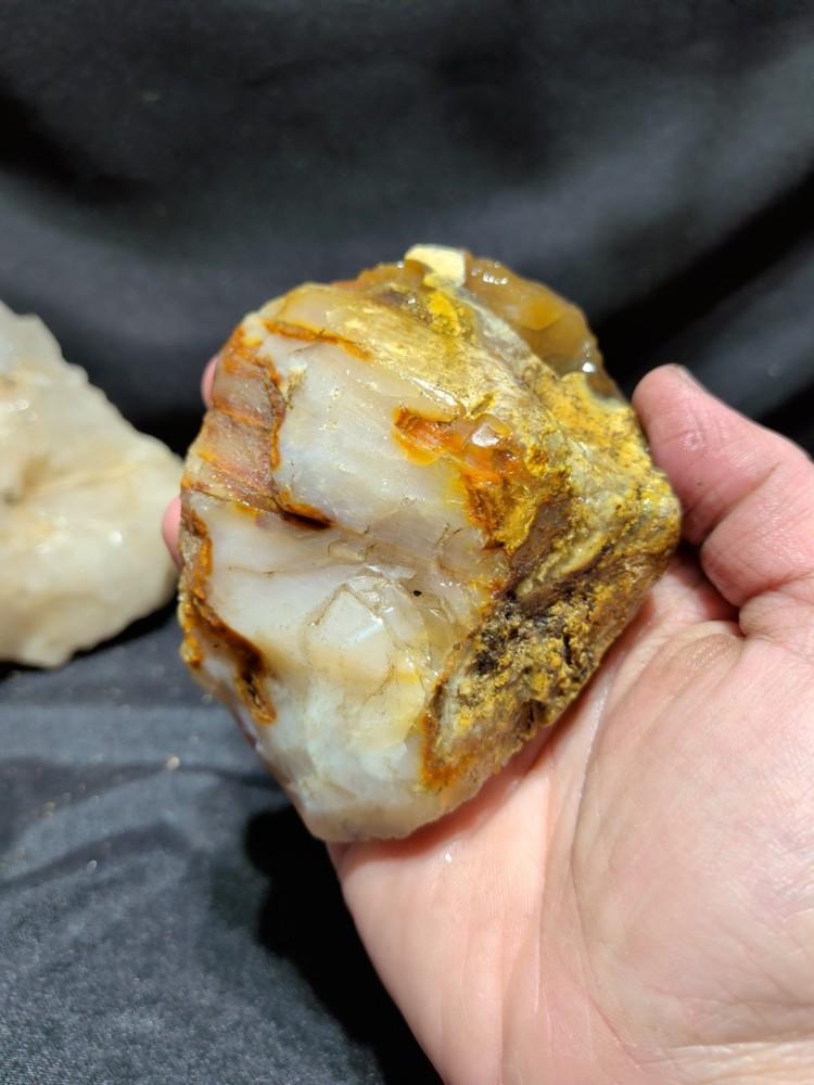 Petrified Opalized Wood Specimen Natural Form (10.7oz)