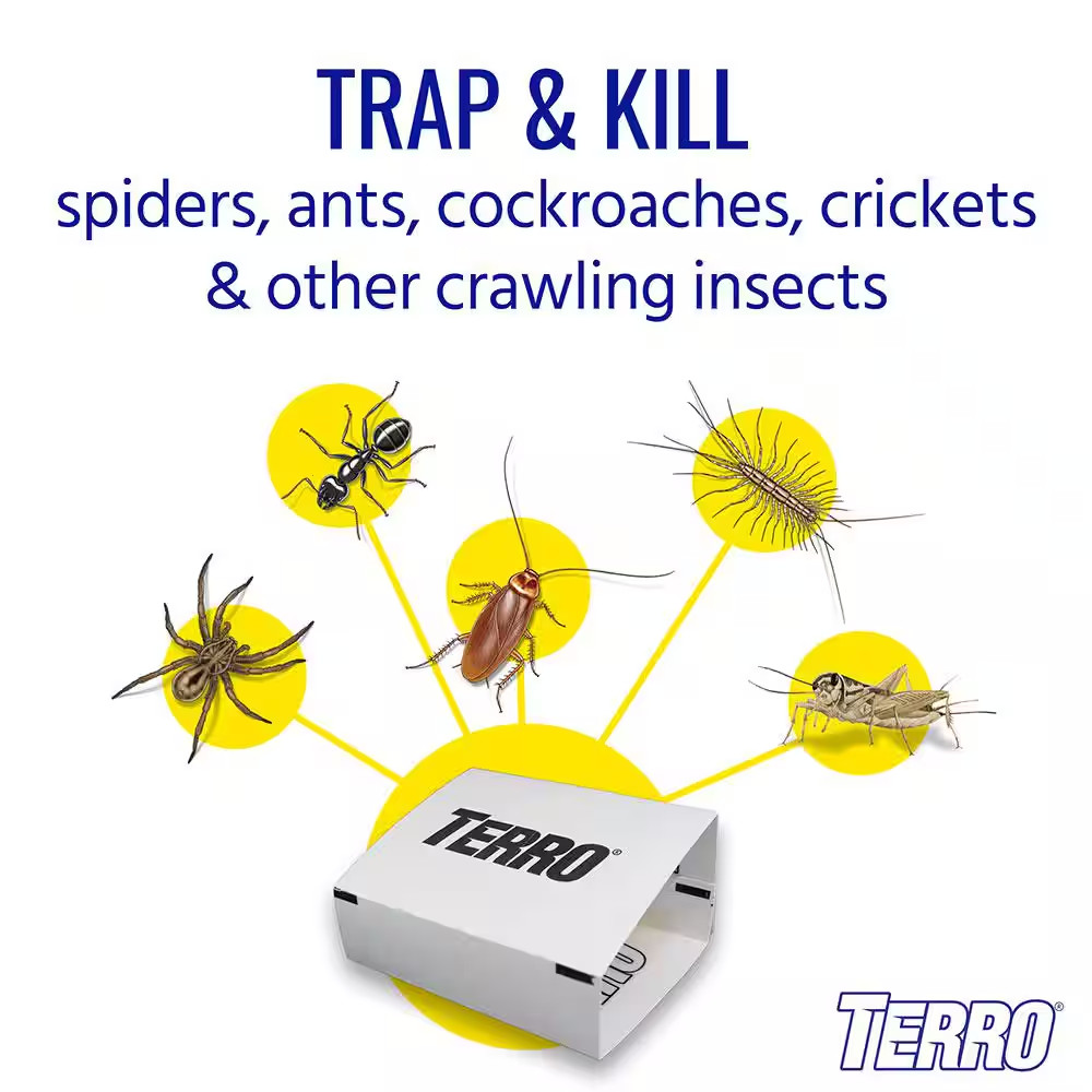Non-Toxic Spider and Insect Trap (16-Count, 4-Pack)