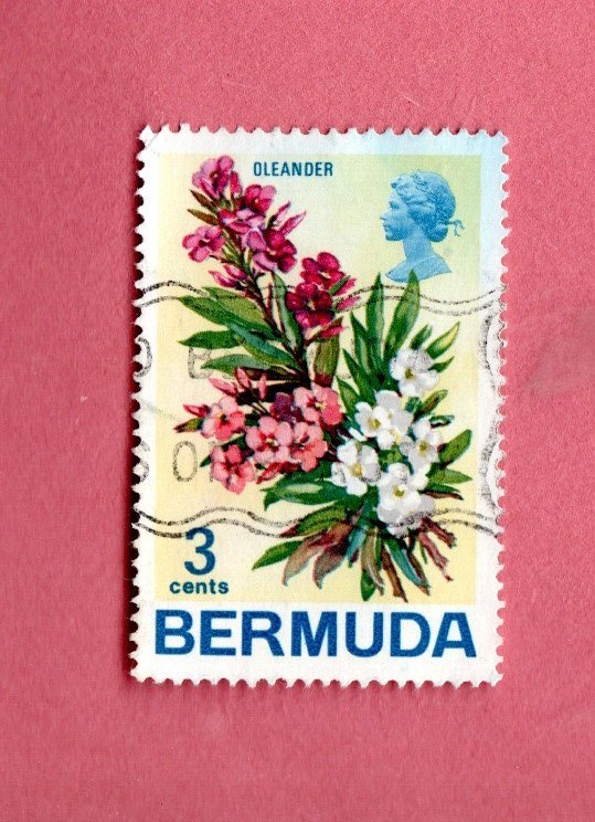 BERMUDA USED OLENDER FLOWER POSTAGE STAMP