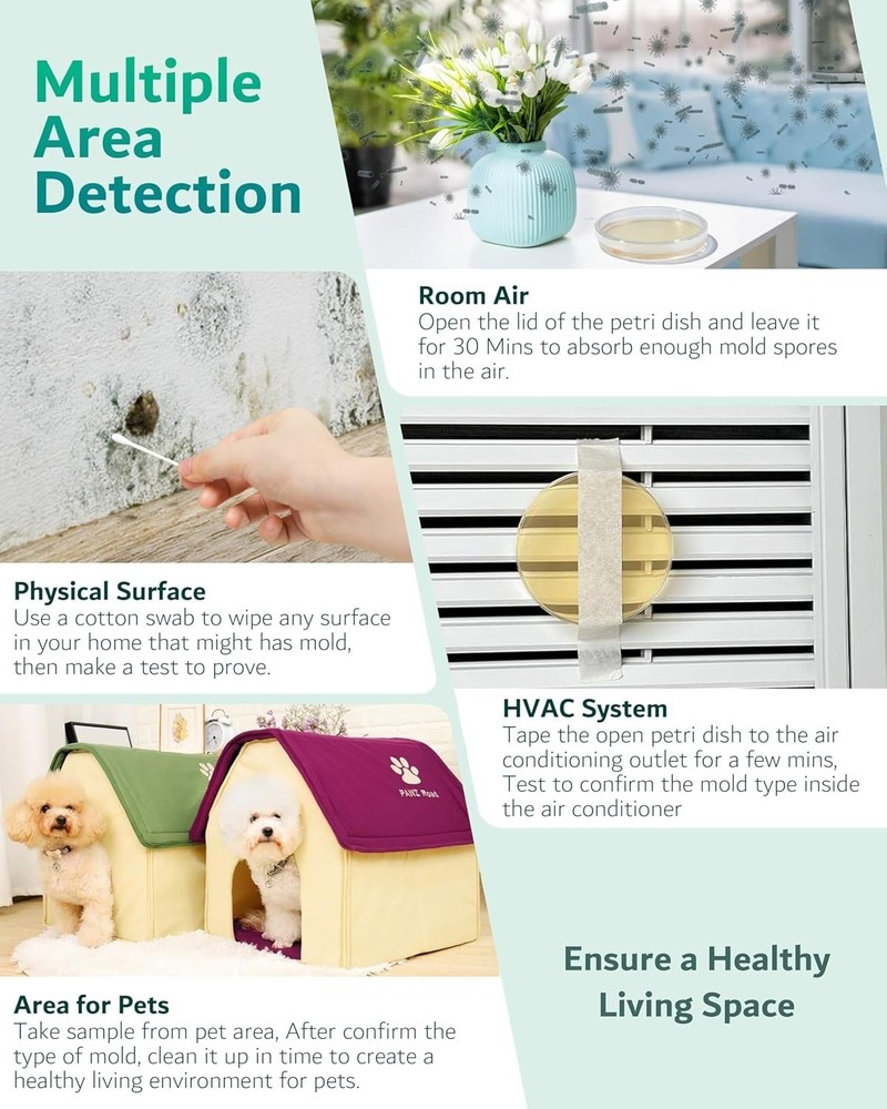 Safe At-Home Mold Testing Kit - 8 Tests, Identification Guide & Expert Support