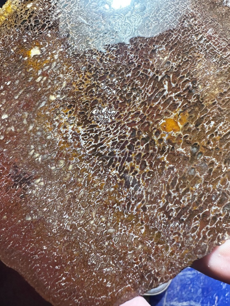 Dinosaur bone rough **hxtled slab.