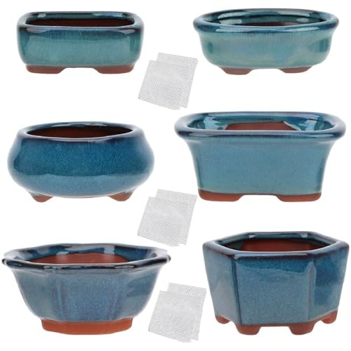 Bonsai Planter 6 pc Mini Glazed Succulent Pots Value Set + 6 Soft Mesh Set6b