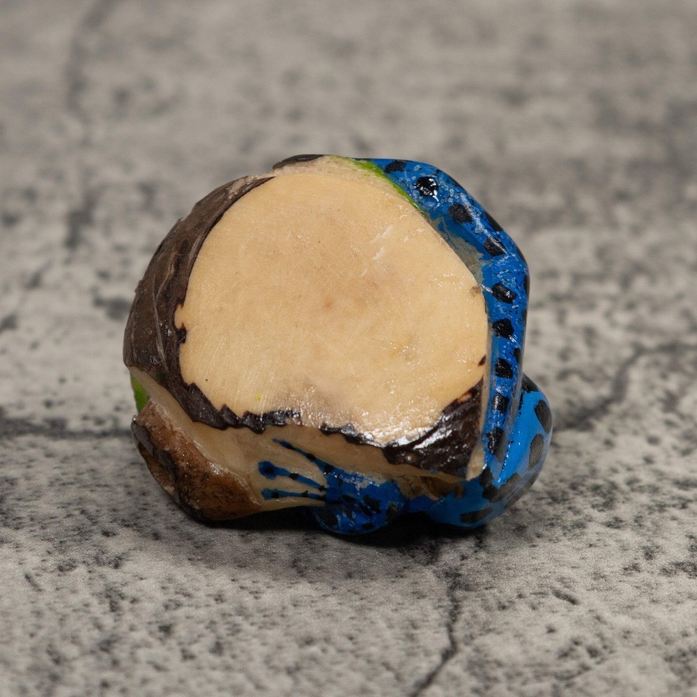 Blue Poison Dart Frog Tagua Carving