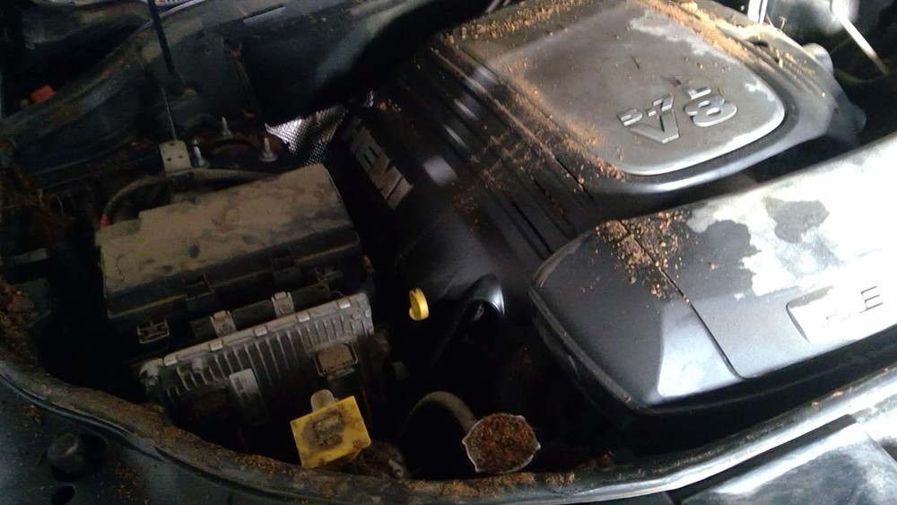 Used A/C Selector Switch fits: 2019 Dodge Durango temperature control front cont