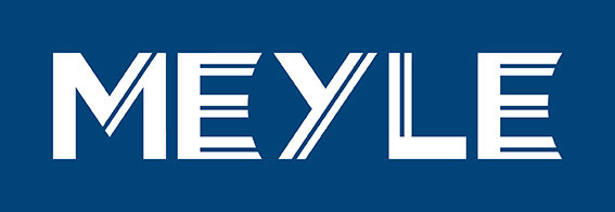 MEYLE 116 060 0102 Stabiliser Bar Link/Coupling Rod Front Left Right Fits VW